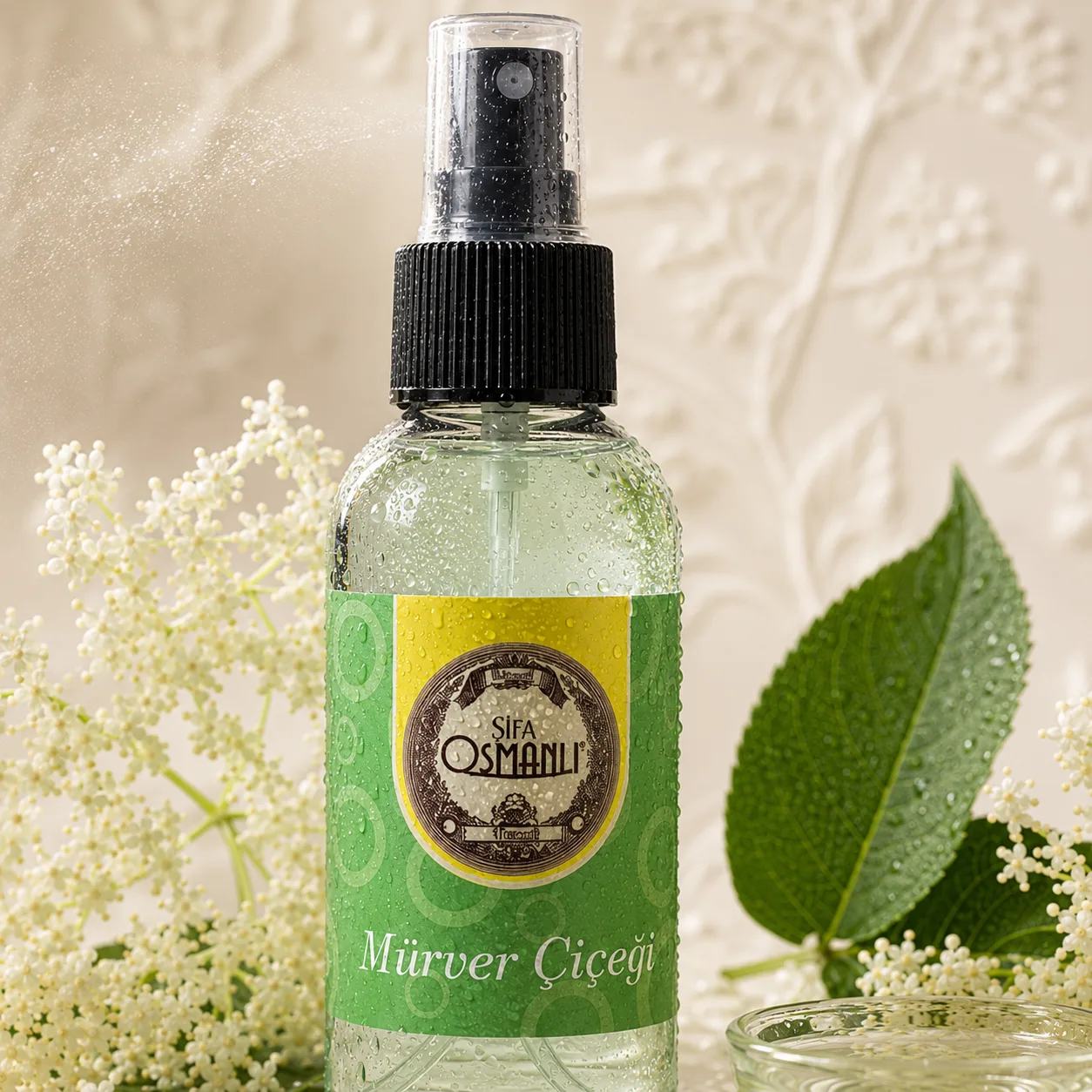 Mürver Çiçeği Kolonyası 